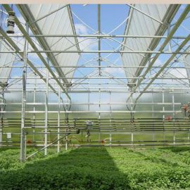 Tunnel Greenhouse Single-span Greenhouses For Agricultural Greenhouse